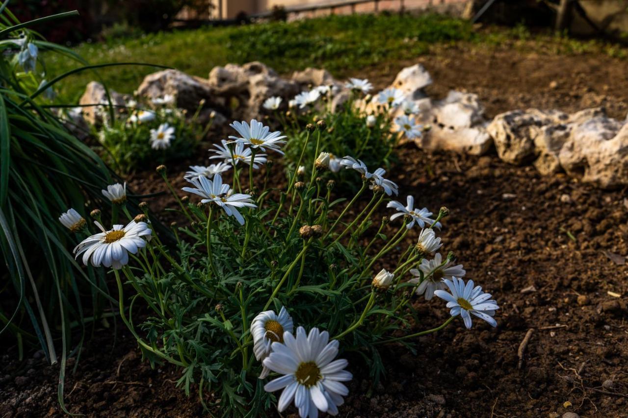 La Gardenia Διαμέρισμα Μοντεκατίνι Τέρμε Εξωτερικό φωτογραφία